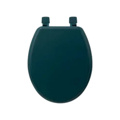 Abattant WC pétrole - 138005P