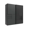 Armoire 2 portes Schwerin graphite/verre noir