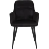 Chaise avec accoudoir Donna 3825 - Goldy anthracite