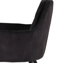 Chaise avec accoudoir Donna 3825 - Goldy anthracite