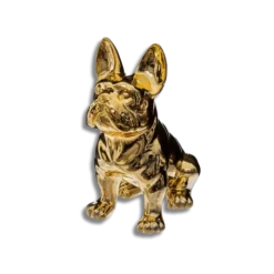 Chien Eden doré