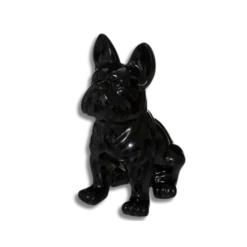 Chien EDEN noir
