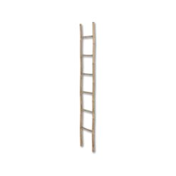 Echelle 157098 bambou