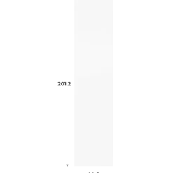 Porte simple Casa Blanc L 45 cm H201 cm