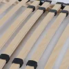 Sommier (2x) 80x200 Max/Juno