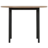 Table basic 100 EP79 HA84