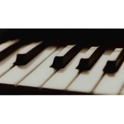 Table de salon Piano noir/blanc