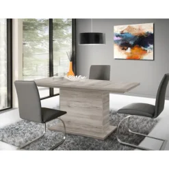 Table extensible 160 - 200 cm BACCIO EST42-D41