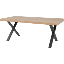 Table Tim 200x100 cm pied X TF1915