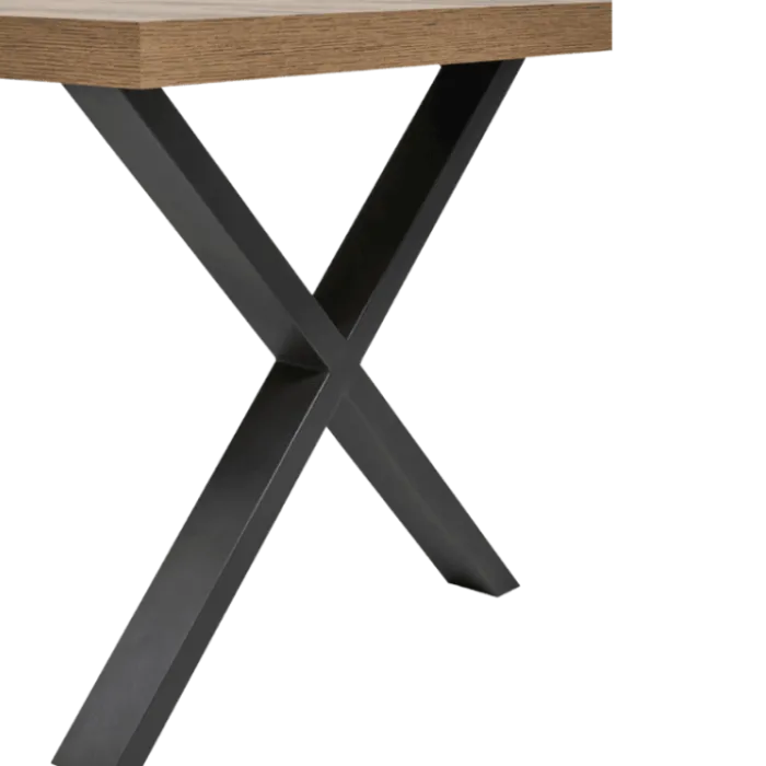 Table Tim 200x100 cm pied X TF1915