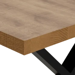 Table Tim 230x100 cm pied X TF1915