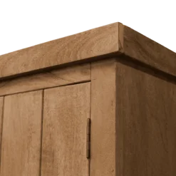Vitrine Dhruv bois mangue