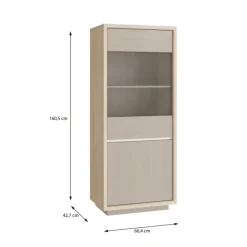 Vitrine 1 porte Ficar